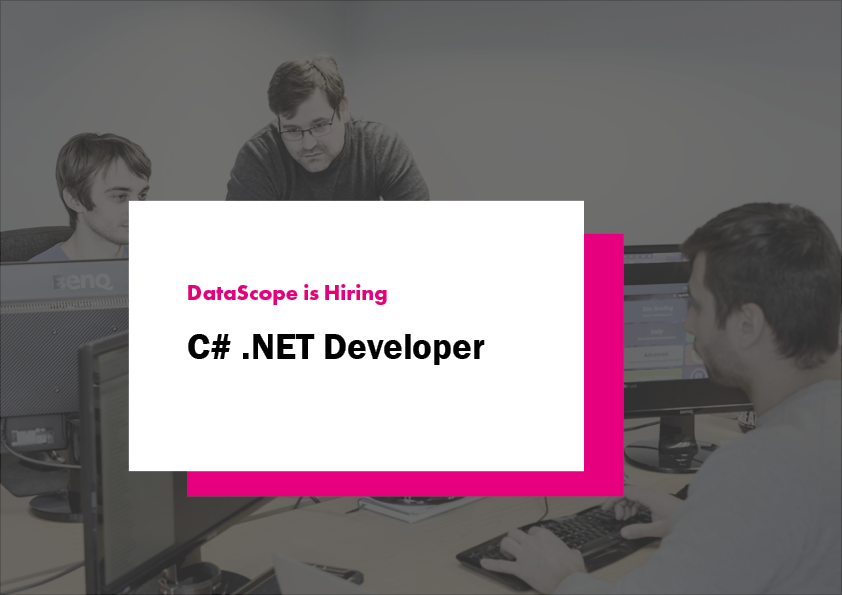 C# Developer position